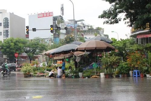 Hà Nội: Vỉa hè đường Hoàng Hoa Thám bị chiếm dụng để bày bán cây cảnh, gốm sứ