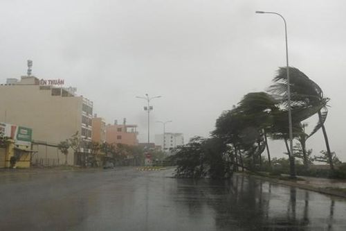 Đà Nẵng: Hỗ trợ hàng hóa thiết yếu, yêu cầu người dân không ra khỏi nhà từ 20h hôm nay 27/9
