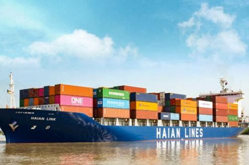 Bị xử phạt về thuế, cổ phiếu HAH giảm kịch sàn nhiều phiên liên tiếp