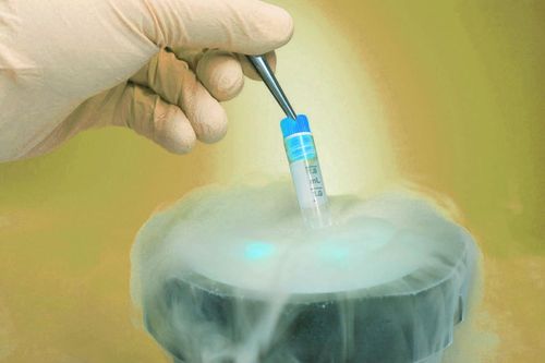Phụ nữ không nên quá lạc quan về khả năng thụ thai từ trứng đông lạnh