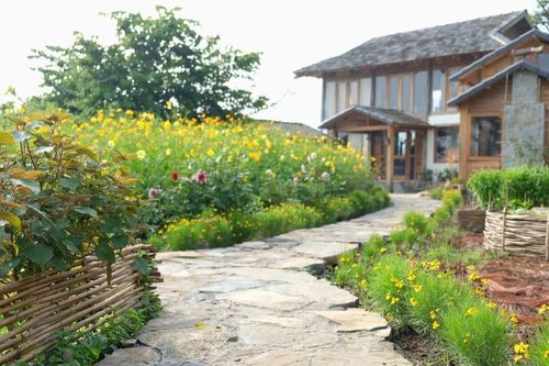 Người phụ nữ 'bỏ phố về quê', xây homestay đẹp như cổ tích giữa đồi chè Mộc Châu
