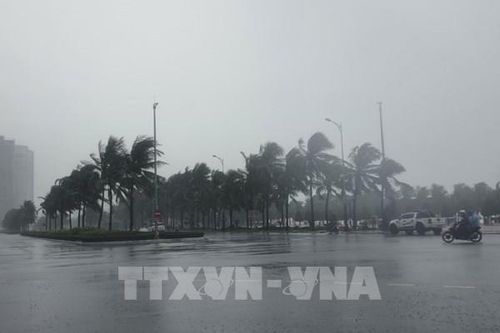 Kế hoạch kích hoạt hỗ trợ khẩn cấp giảm nhẹ rủi ro thiên tai do bão số 4