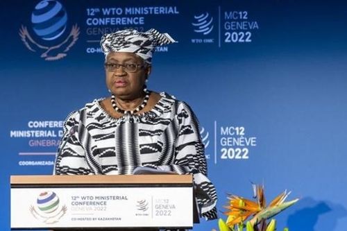 Tổng giám đốc WTO: Kinh tế thế giới đang trên đà suy thoái