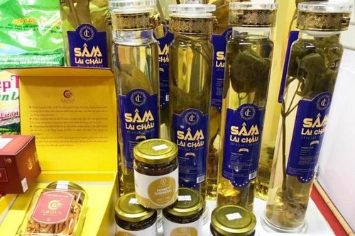 Sắp diễn ra Hội chợ Sâm Lai Châu vào trung tuần tháng 10