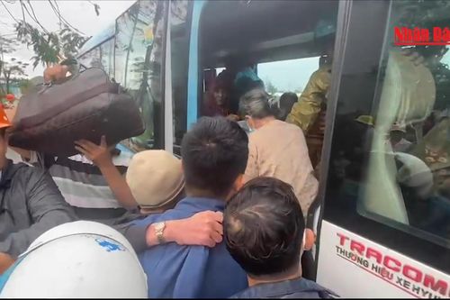Hàng nghìn người dân Quảng Ngãi đi trú bão được về nhà