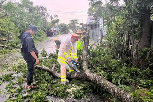 Cảnh sát giao thông Công an Quảng Ngãi xuyên đêm thu dọn cây xanh ngã đổ