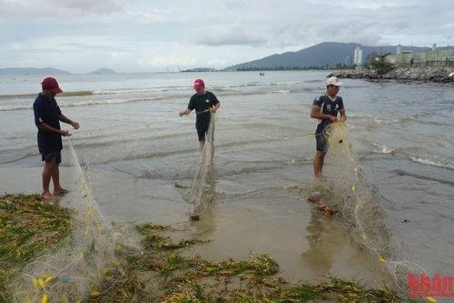 Bão tan, người dân Đà Nẵng bắt được nhiều cá nước ngọt