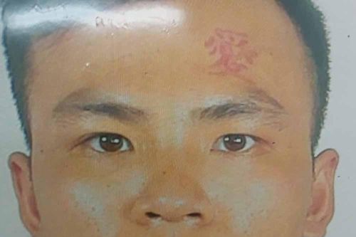 Truy bắt kẻ chém lìa ngón tay một nhân viên quán cà phê ở TP.HCM