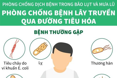 Lưu ý không thể bỏ qua để chống dịch bệnh sau bão, lụt