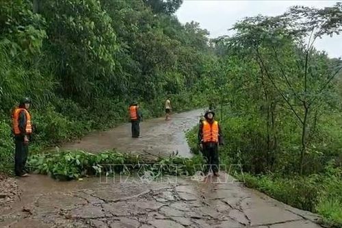 Quảng Bình chủ động các phương án khắc phục hậu quả bão Noru