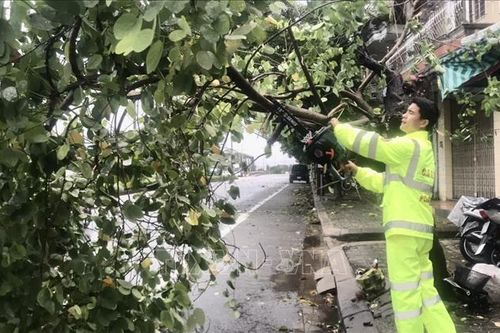 Lực lượng CSGT các tỉnh miền Trung khẩn trương khắc phục hậu quả sau bão