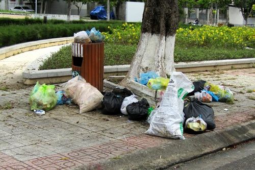 Cần khắc phục tình trạng xả rác ra công viên