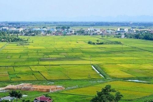 TP. Hồ Chí Minh: Hàng loạt dự án nhà ở được đề xuất chuyển đổi mục đích từ đất trồng lúa