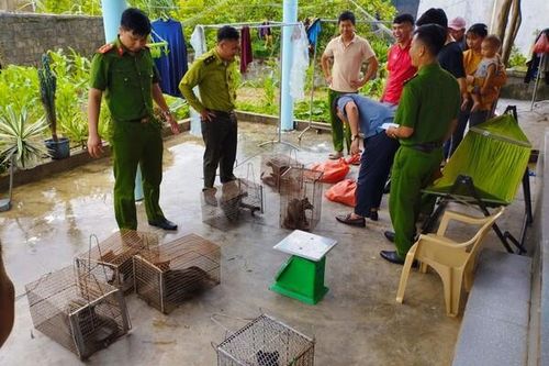 Hà Tĩnh: Phát hiện 9 con cầy vòi hương bị nuôi nhốt trái phép