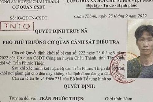 Kẻ cùng đồng bọn gây ra gần 40 vụ trộm ra đầu thú