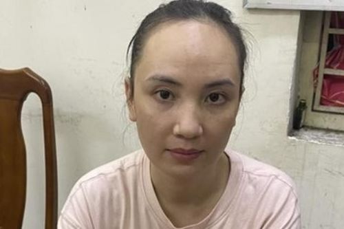 Nữ đồng phạm trong vụ tranh chấp căn nhà 29 Nguyễn Bỉnh Khiêm bị bắt sau 2 năm lẩn trốn