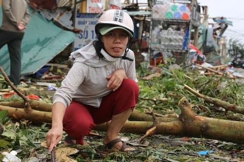 'Bão Noru chưa vào, tiền vàng theo lốc bay tứ tung, tôi cố níu không được'