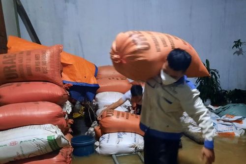 Người Nghệ An giữa lũ: 'Tan hoang rồi'