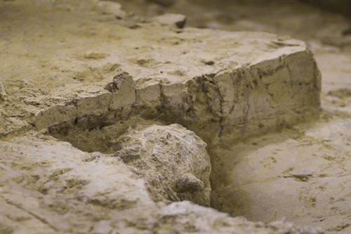 Phát hiện hộp sọ người hoàn chỉnh một triệu năm tuổi ở Trung Quốc