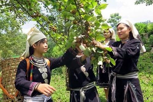 Không để 'khoảng trống' trong thực hiện chính sách