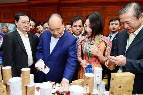 Hơn 500 đại biểu dự diễn đàn Thanh niên khởi nghiệp Quốc gia năm 2022