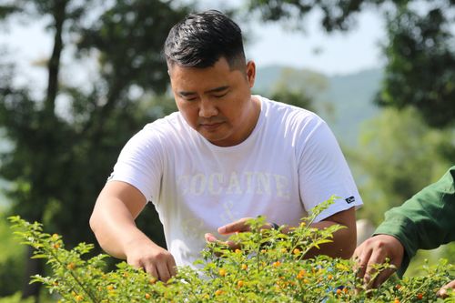 Du học sinh Nhật trồng thành công loại ớt đắt nhất thế giới