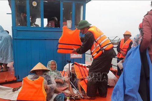 Kinh nghiệm phòng tránh bão ở xã đảo Tam Hải