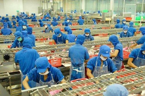 Tập đoàn Sao Mai chốt ngày trả 505 tỷ cổ tức cho cổ đông