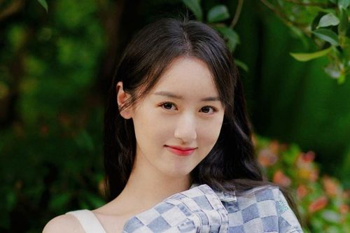 Rộ tin Viên Băng Nghiên bị các đoàn làm phim tẩy chay, tương lai sẽ ra sao kể cả không bị phong sát?