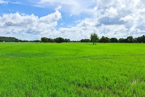 Bảo vệ thắng lợi vụ thu đông 2022