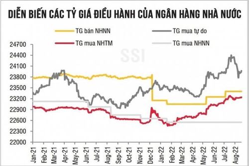 Tỷ giá VND/USD: Áp lực còn 'đeo bám' nhưng sẽ dịu dần theo thời gian