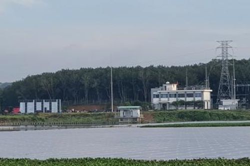 Bà Rịa - Vũng Tàu: Vận hành công trình điện chưa có kết quả nghiệm thu, hai doanh nghiệp bị phạt