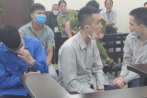 Lừa bán lan đột biến chiếm đoạt hàng tỷ đồng