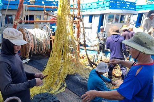 Sau bão, ngư dân hối hả vươn khơi