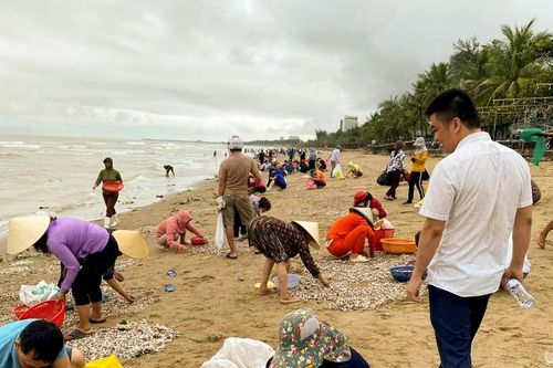 Người dân Cửa Lò đổ xô nhặt 'lộc biển' sau mưa lớn