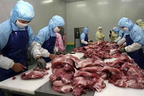 Trung Quốc tăng cường xuất kho dự trữ thịt lợn để duy trì nguồn cung