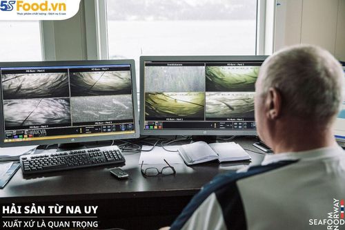 Cá hồi Nauy SFN và những tiêu chuẩn bền vững khắt khe nhất thế giới