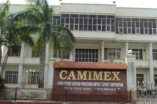 Camimex Group bị phạt 310 triệu đồng do vi phạm hàng loạt lỗi