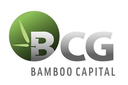 Bamboo Capital phát hành thêm gần 267 triệu cổ phiếu