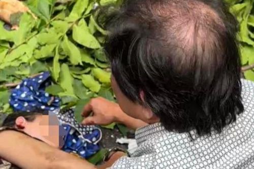 Hà Nội: Người đi đường bị cây cổ thụ đè trúng
