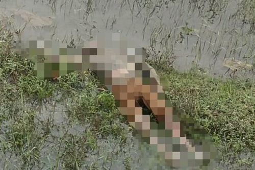 Hà Tĩnh: Phát hiện thi thể người đàn ông trên cánh đồng