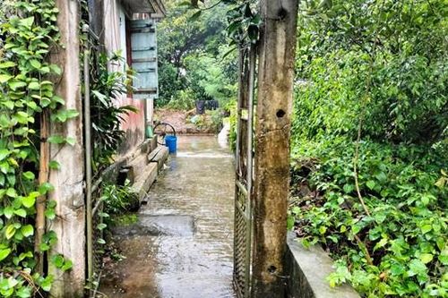 Vụ bà lão bị chôn trong vườn ở Thái Bình: Không phát hiện việc bị tác động, đâm chém