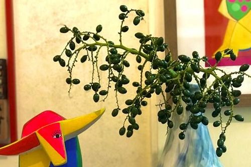 Thú chơi cành quả