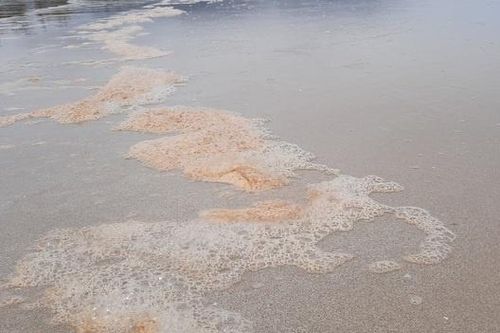 Nước biển ở Huế đổi màu bất thường sau bão Noru