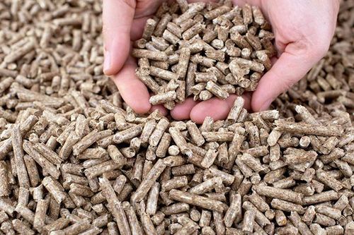 Cơ hội mở rộng thị trường xuất khẩu viên nén gỗ