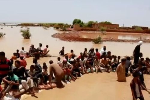 Rắn và bọ cạp tràn vào Sudan khi mùa mưa đến