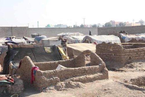Kế sinh nhai chỉ có ở Afghanistan