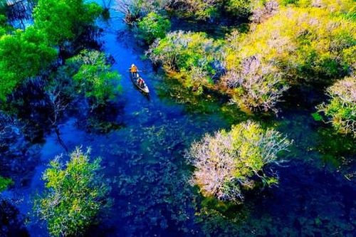 Xao xuyến sắc thu ở rừng ngập mặn nổi tiếng xứ Huế