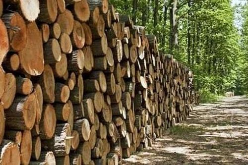 Làm rõ việc đơn vị đấu giá cầm hàng tỷ tiền cọc rồi 'im hơi lặng tiếng'