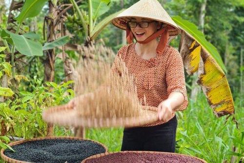 Khởi nghiệp từ ly ngũ cốc của mẹ
